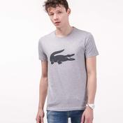 Lacoste  Erkek Gri T-Shirt