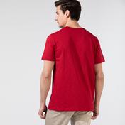 Nautica Erkek Kırmızı T-Shirt