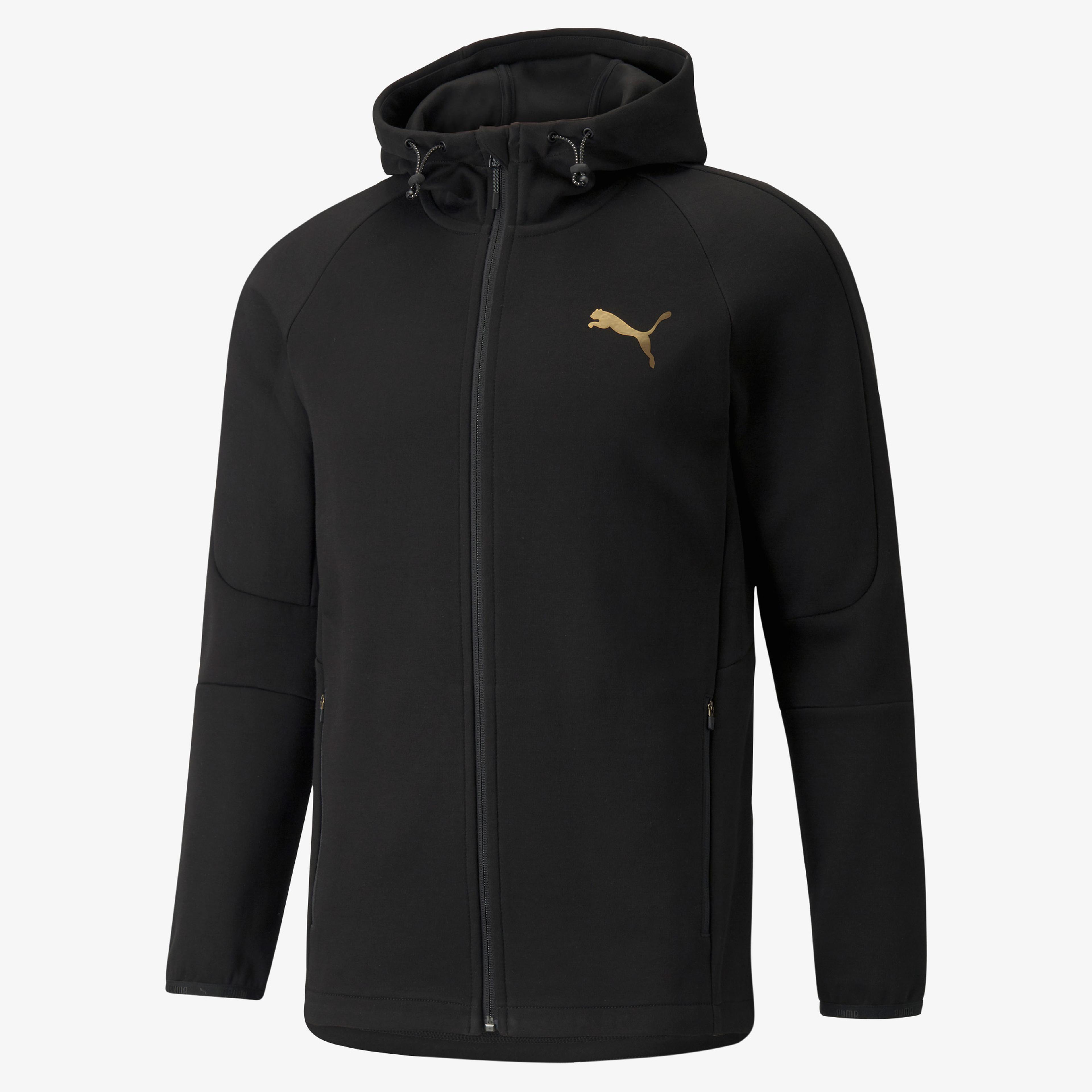 Puma Evostripe FZ Erkek Siyah Sweatshirt