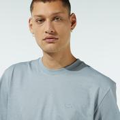 Lacoste Erkek Bisiklet Yaka Gri T-Shirt