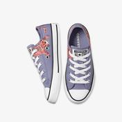 Converse Chuck Taylor All Star Low Çocuk Beyaz Sneaker