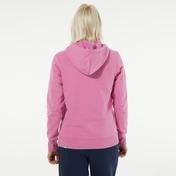 The North Face W Drew Peak Pull Hd Kadın Pembe Sweatshirt