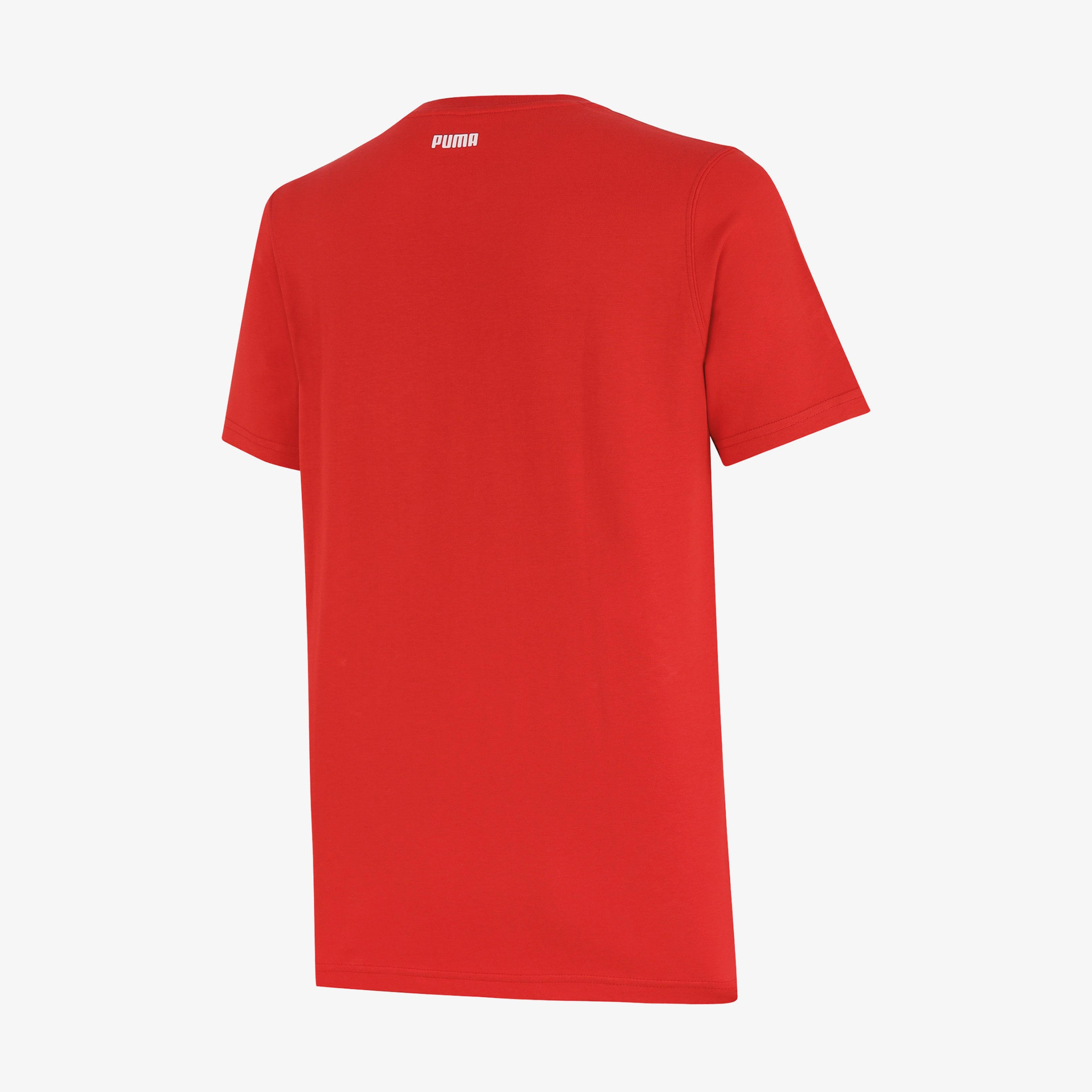 Puma Türkiye Basketbol Milli Takım Fan Erkek Kırmızı T-shirt