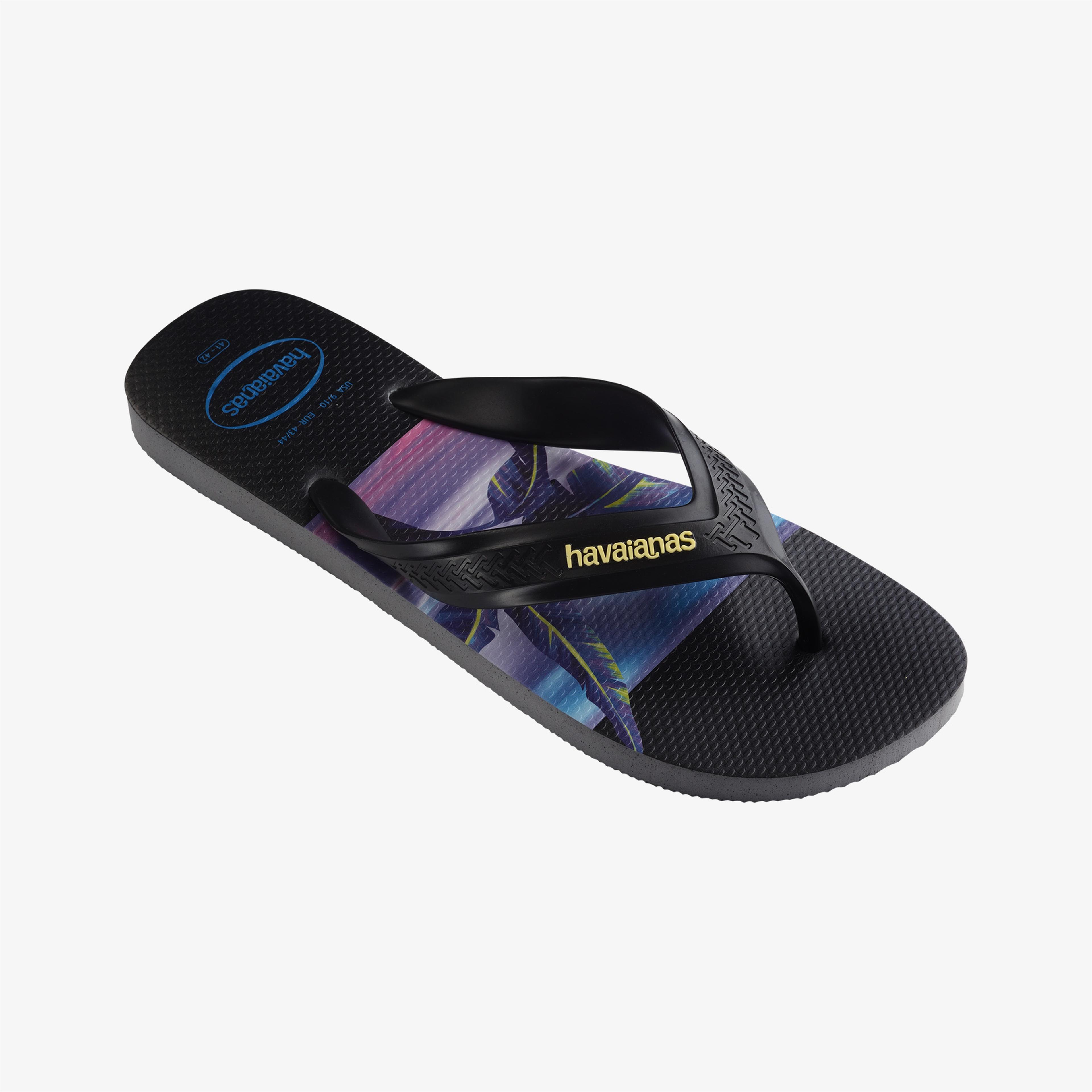 Havaianas Erkek Siyah Terlik