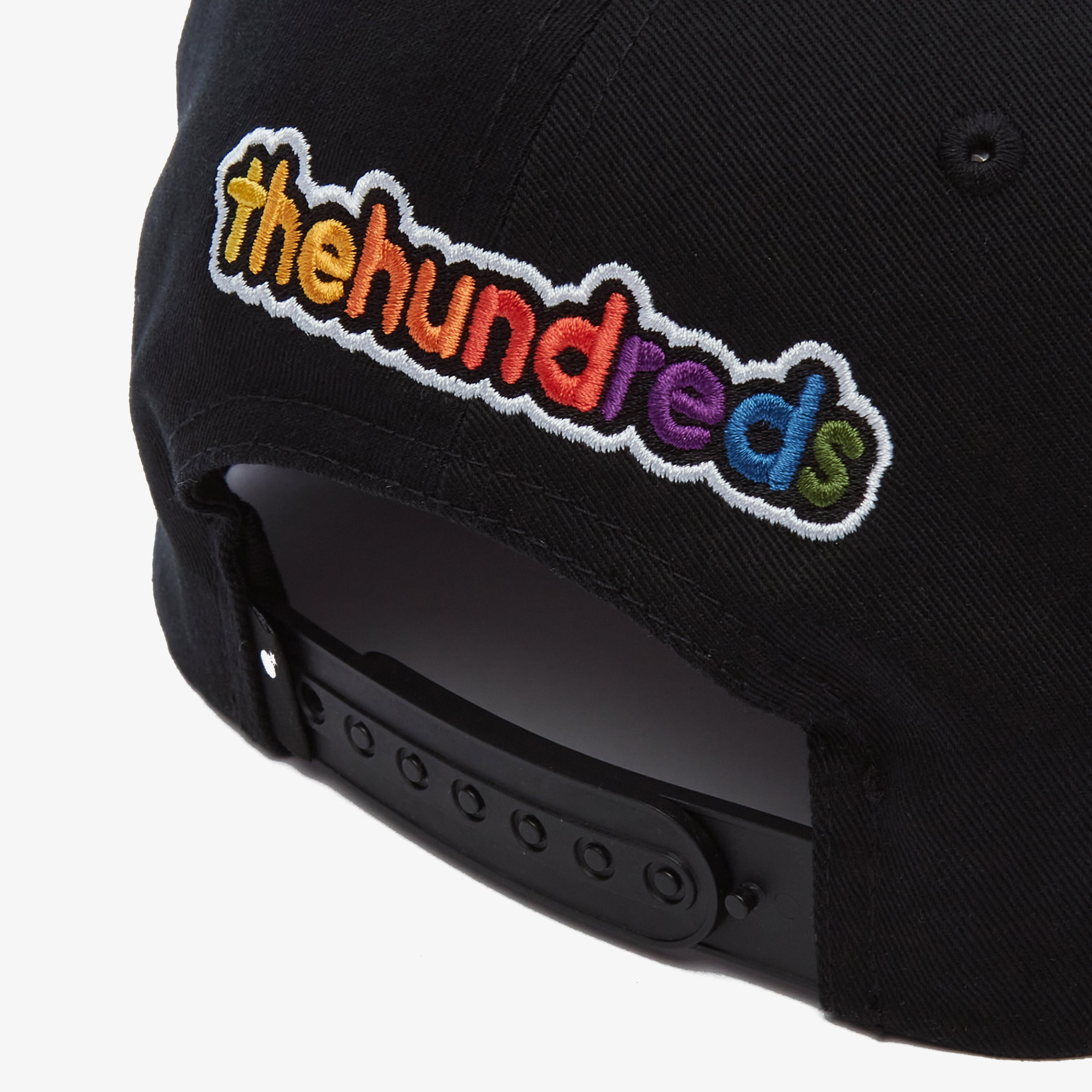 The Hundreds Froots Erkek Siyah Şapka
