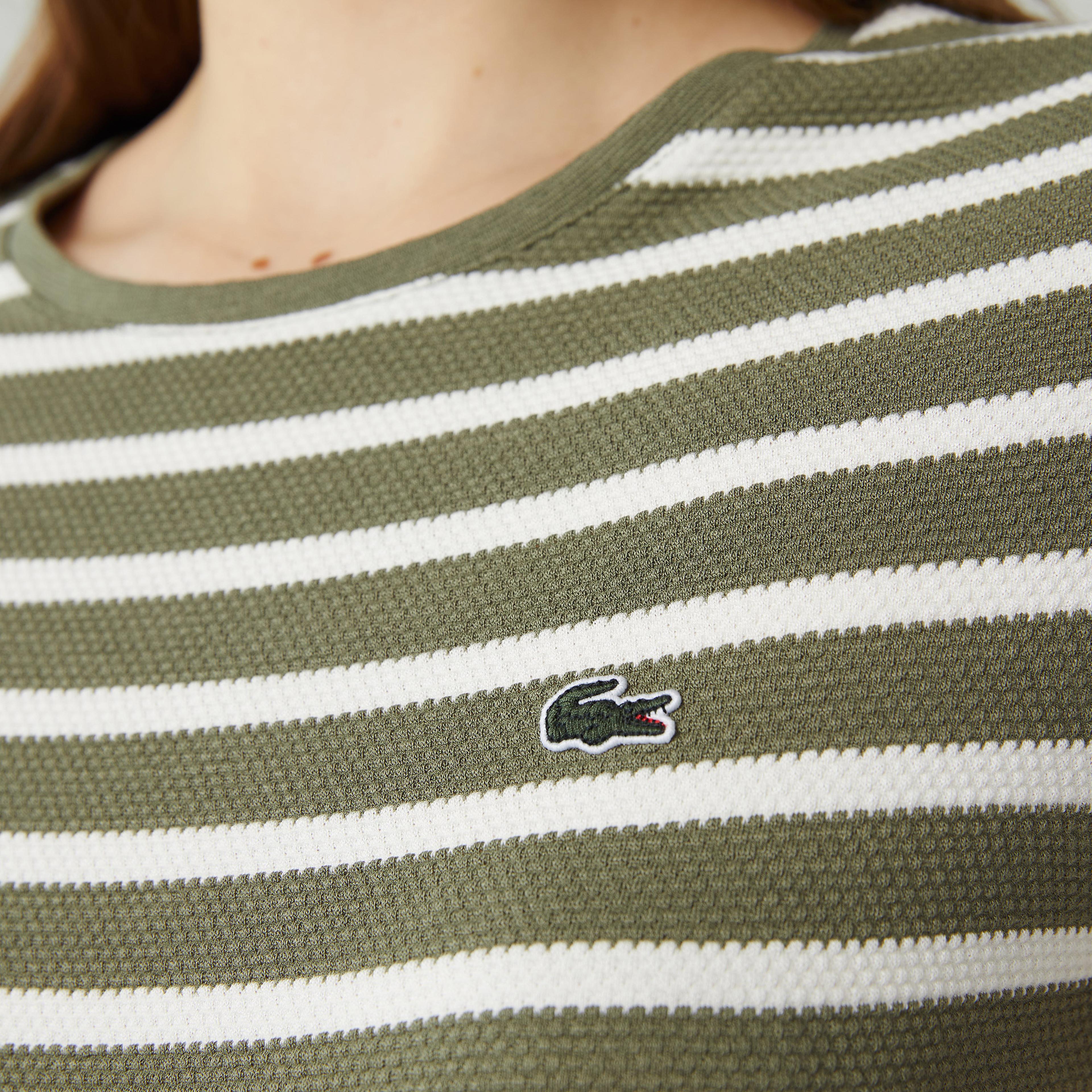 Lacoste Kadın Slim Fit Bisiklet Yaka Çizgili Haki T-Shirt
