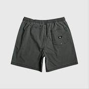 Quiksilver Taxerws Wkst Erkek Siyah Walkshort