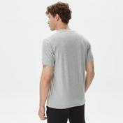 Champion Crewneck Erkek Gri T-Shirt