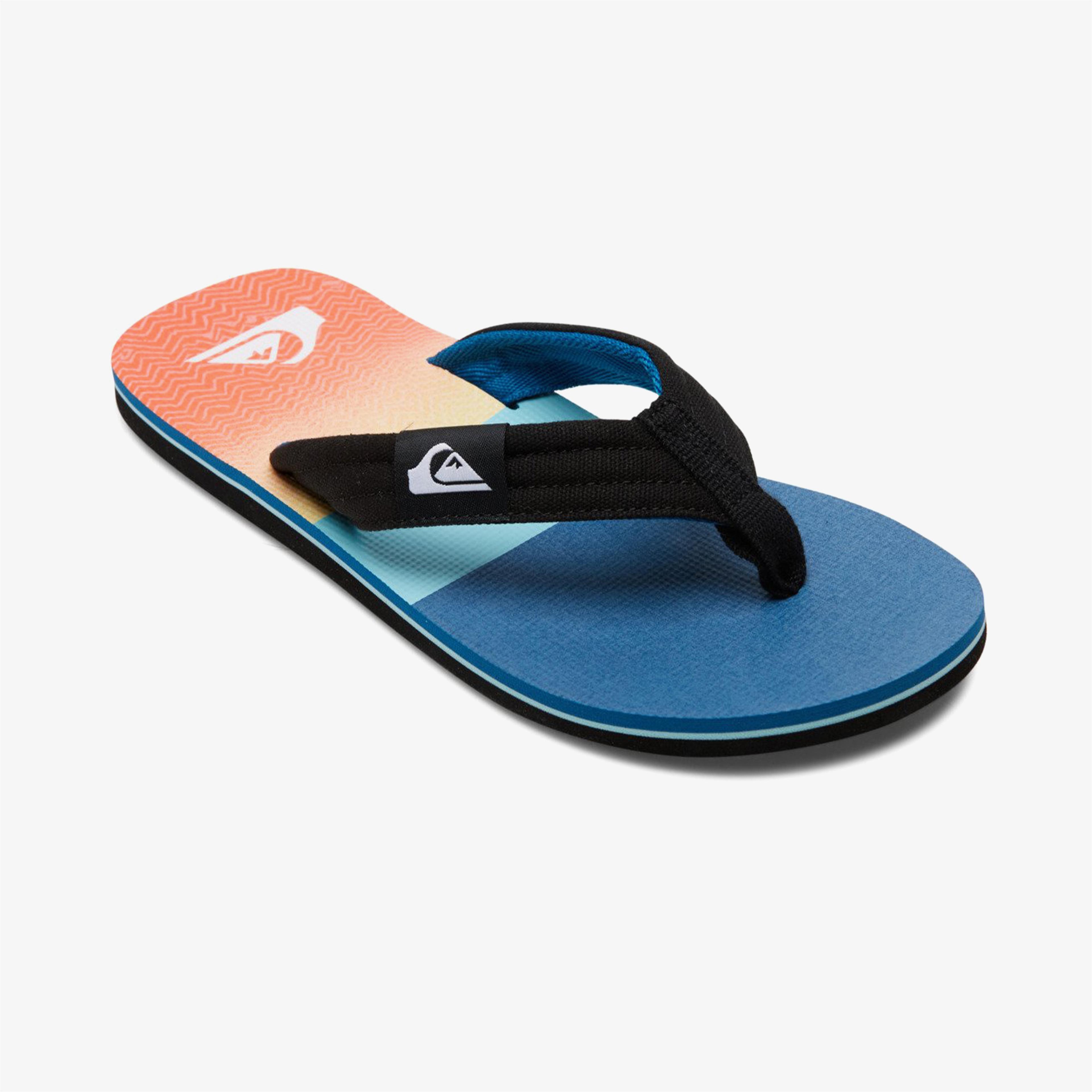 Quiksilver Molokai Layback Erkek Renkli Terlik