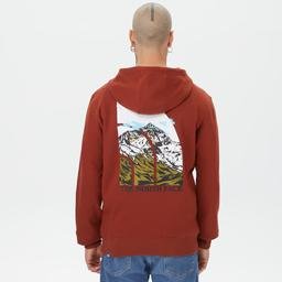 The North Face Seasonal Graphic Hoodie Erkek Kahverengi Sweatshirt