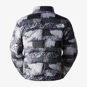 The North Face 2000 Erkek Gri Mont
