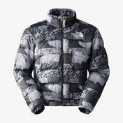 The North Face 2000 Erkek Gri Mont