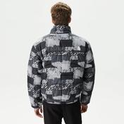 The North Face 2000 Erkek Gri Mont