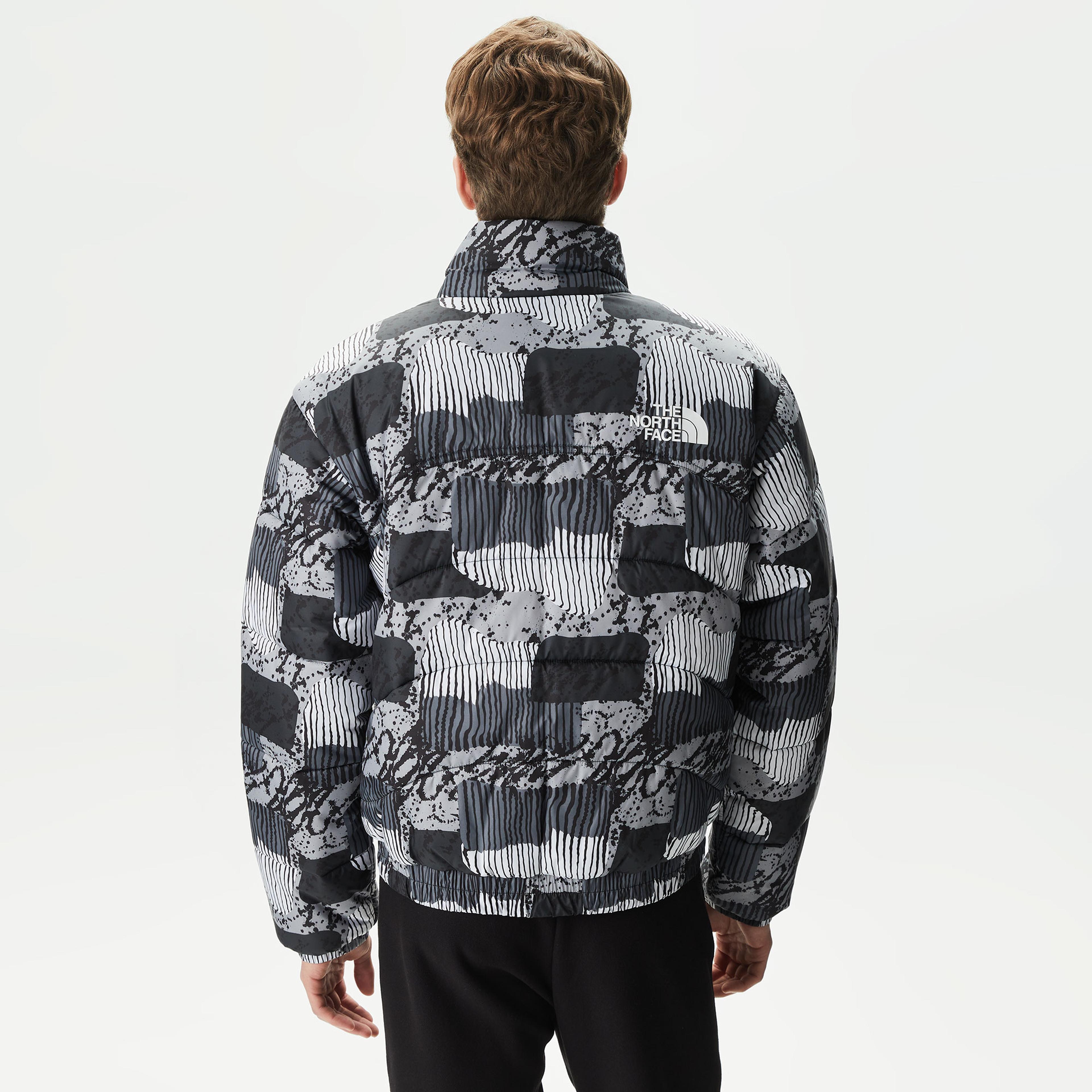 The North Face 2000 Erkek Gri Mont