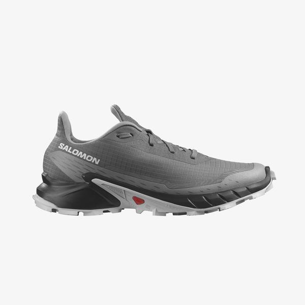 Salomon Alphacross 5 Erkek Gri Koşu Ayakkabısı