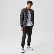 Lacoste Erkek Hakim Yaka Kapitone Siyah Mont