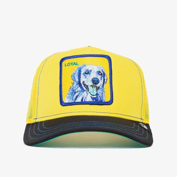 Goorin Bros Doggy Trip Unisex Sarı Şapka_1