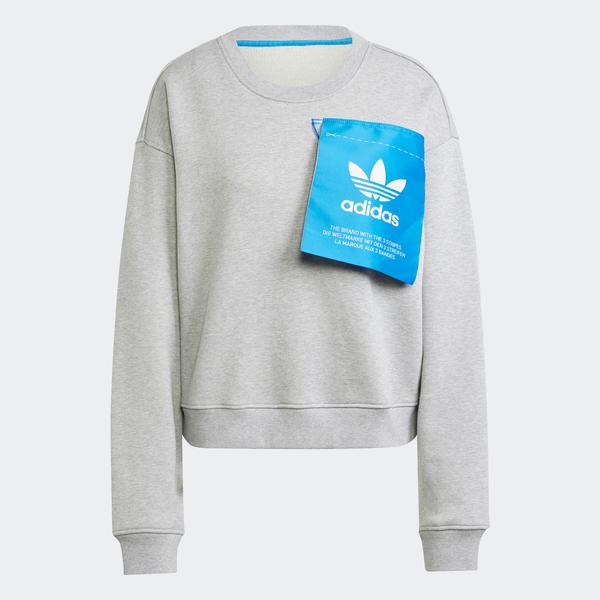 adidas Ksenia Tag Swt Kadın Gri Hoodie_3