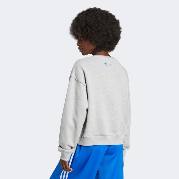 adidas Ksenia Tag Swt Kadın Gri Hoodie_2