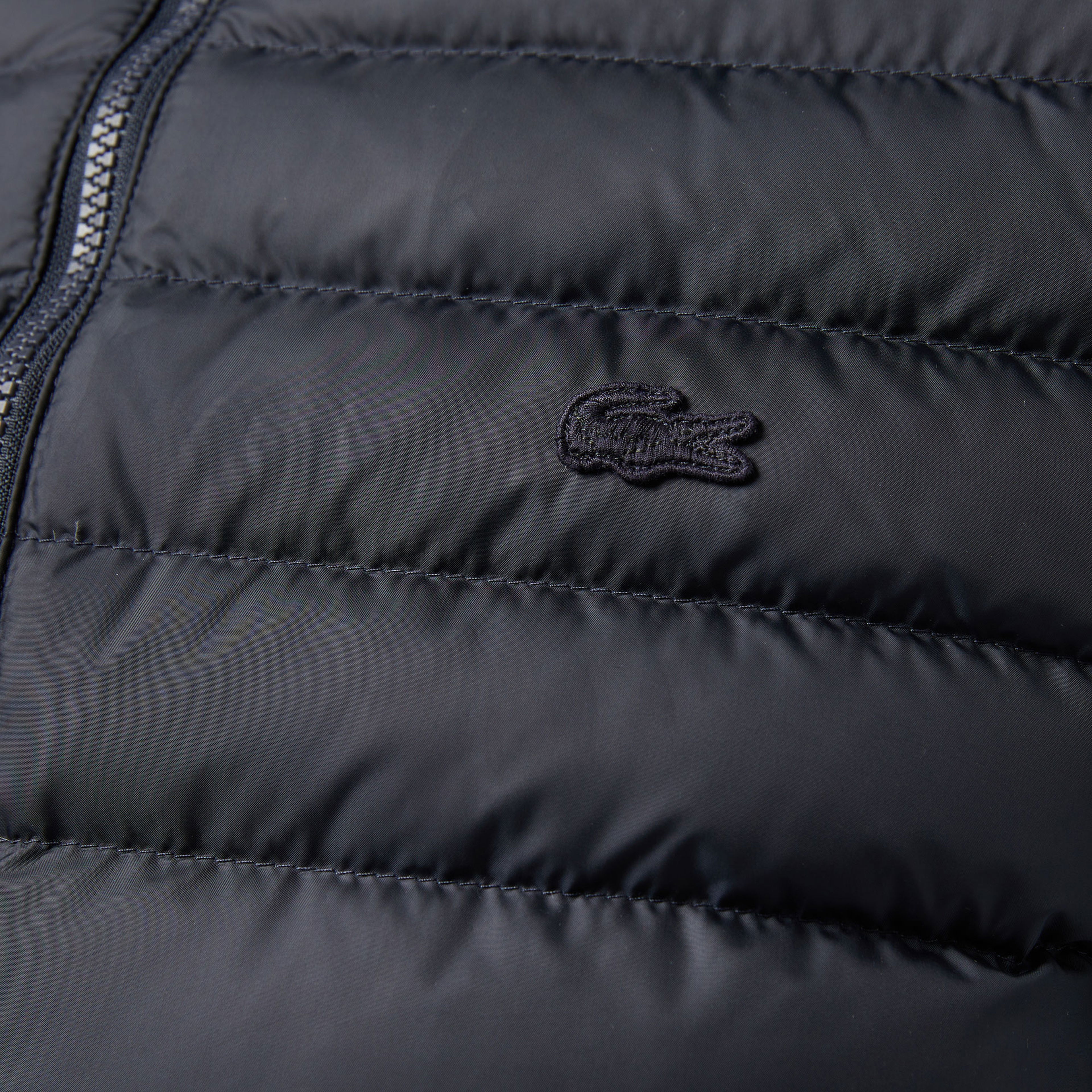 Lacoste Erkek Kapüşonlu Lacivert Mont