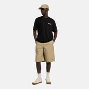 Dickies Bricklane Erkek Siyah T-Shirt