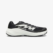 Salomon Alphaglide Erkek Siyah Koşu Ayakkabısı