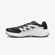 Salomon Alphaglide Erkek Siyah Koşu Ayakkabısı