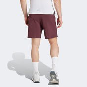 adidas Designed For Erkek Bordo Antrenman Şort