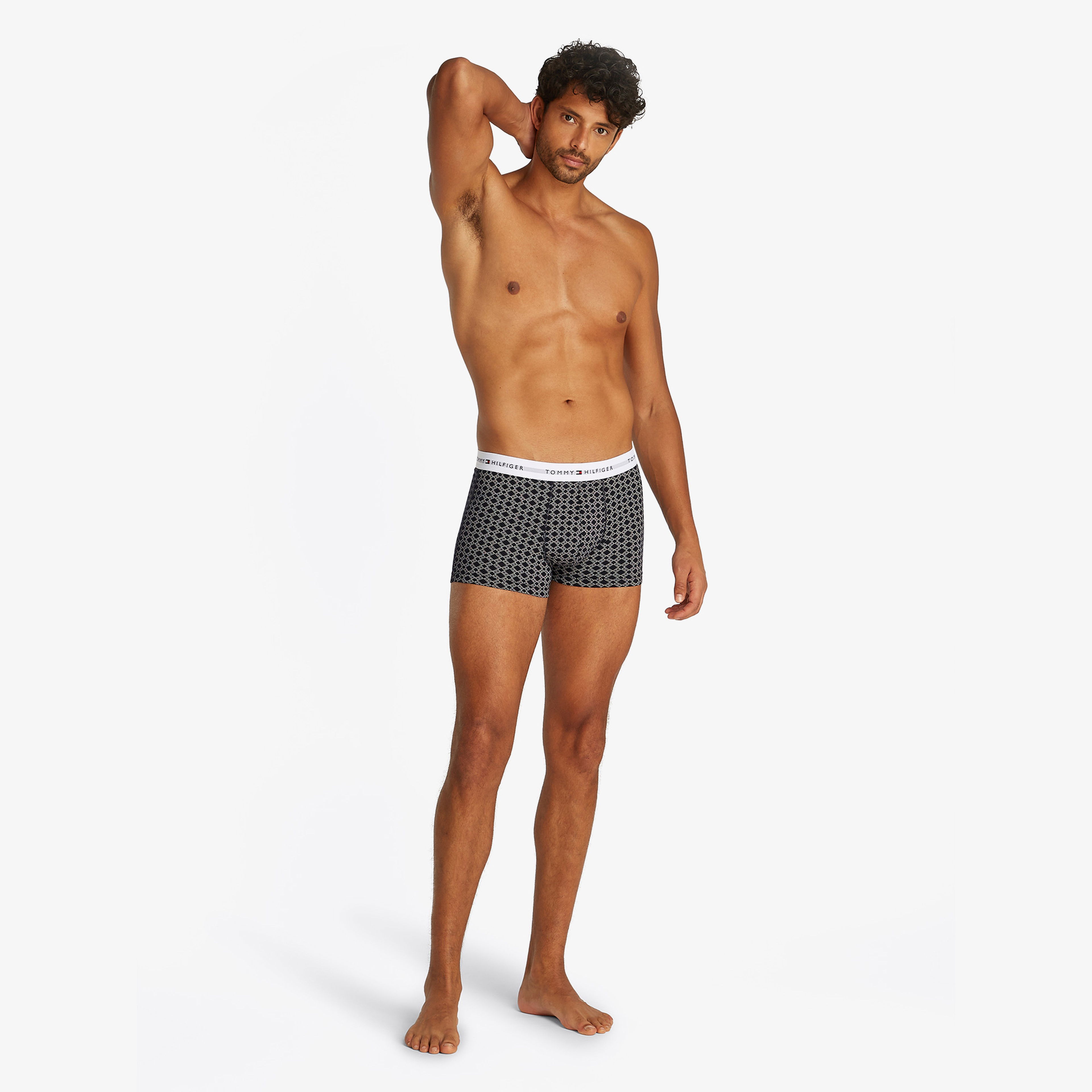 Tommy Hilfiger 3 Parça Trunk Print Erkek Gri Boxer