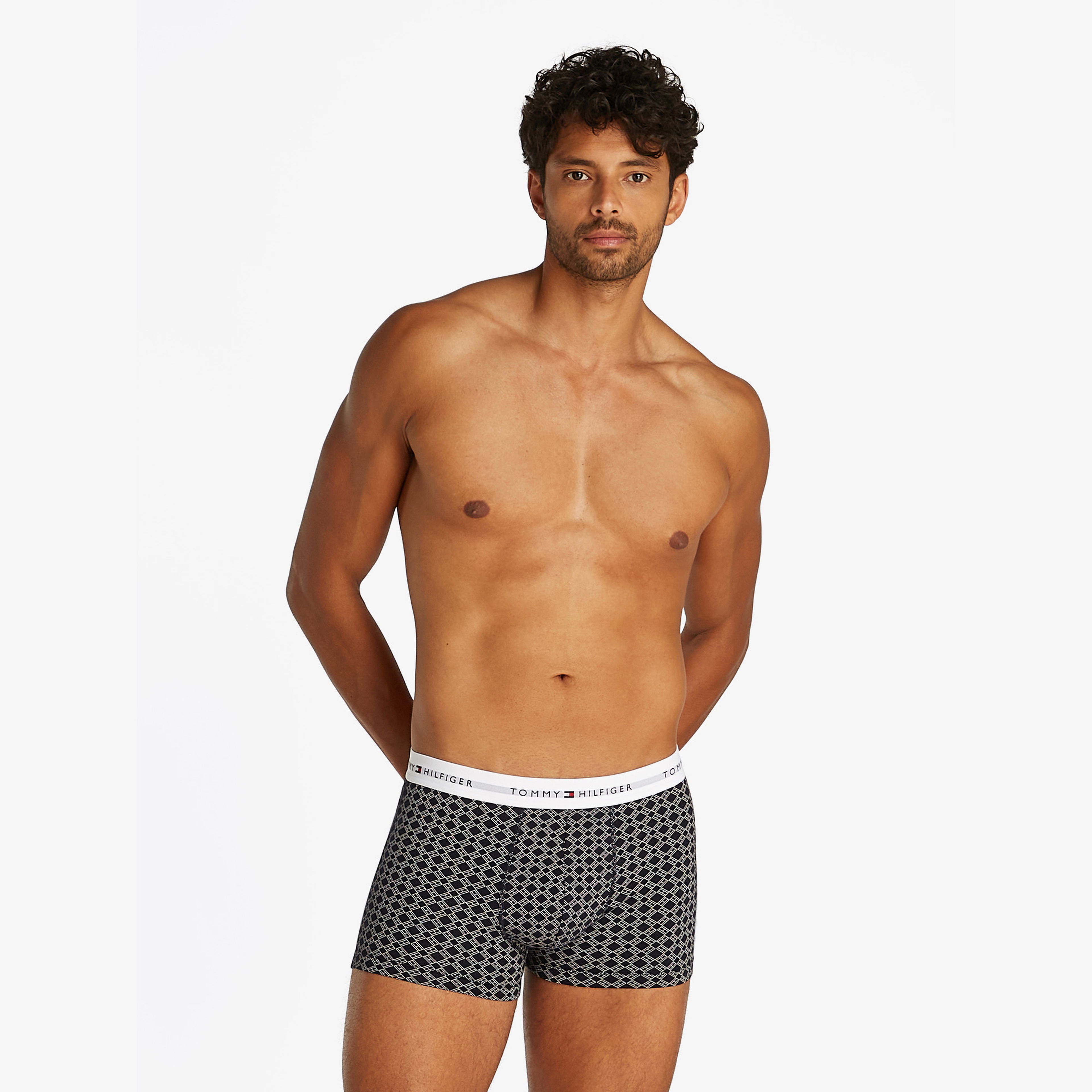 Tommy Hilfiger 3 Parça Trunk Print Erkek Gri Boxer