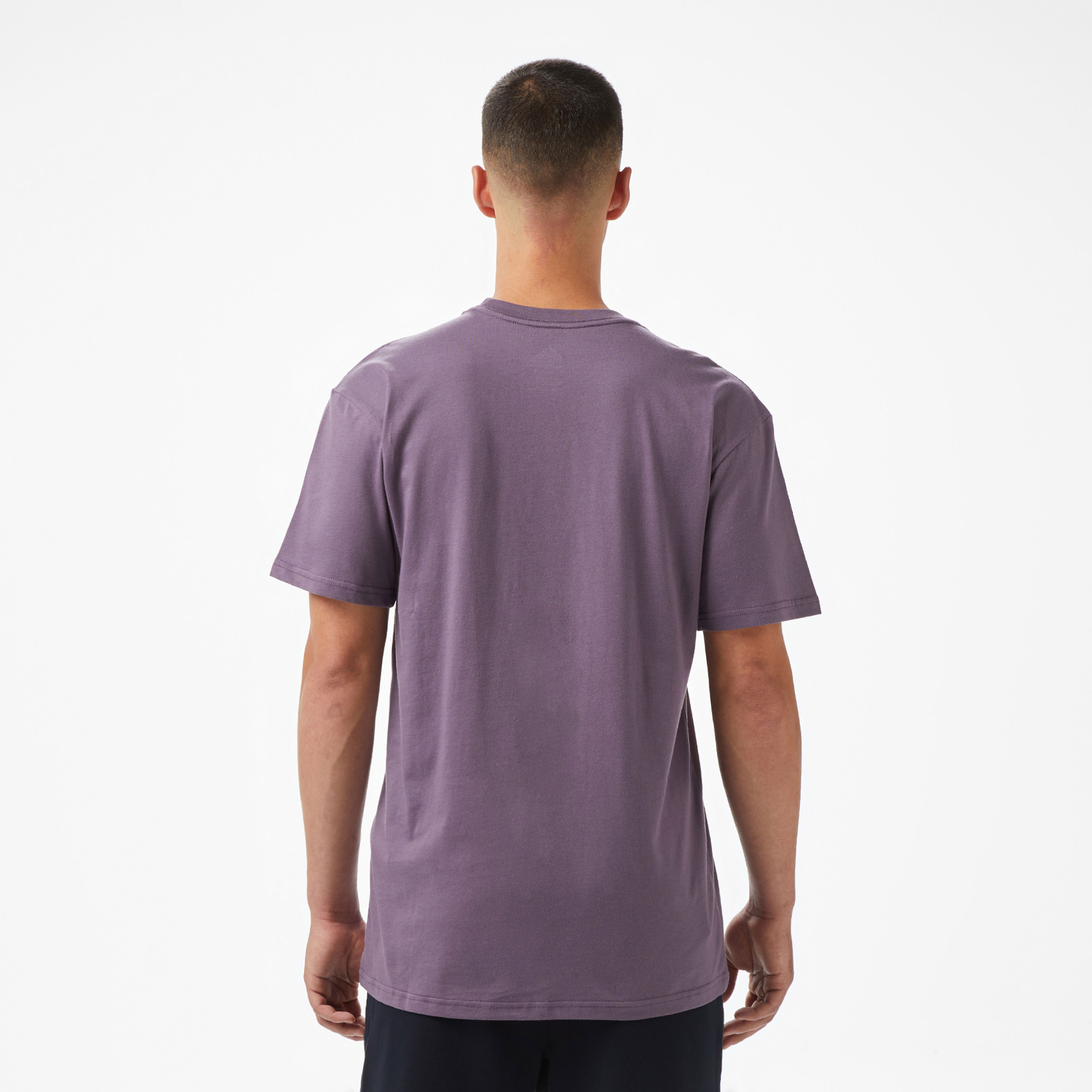 Quiksilver Ev Mini Logo Ss Erkek Mor T-Shirt