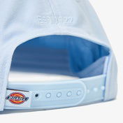 Dickies Hardwick Erkek Yeşil Şapka