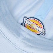Dickies Hardwick Erkek Yeşil Şapka