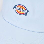 Dickies Hardwick Erkek Yeşil Şapka